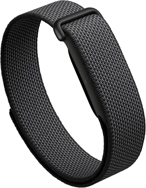 Google Fitbit Air