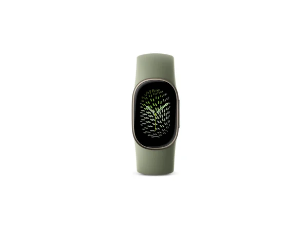 Google Fitbit Edge (pre-order)